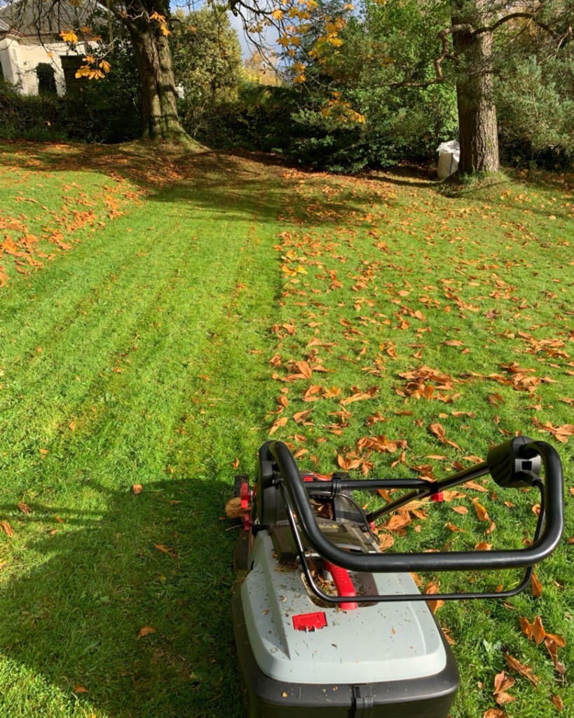Practical & Creative Ways To Use Fallen Leaves Around Your Garden