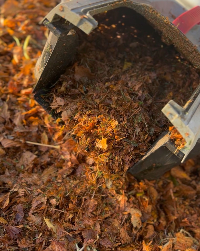 Practical & Creative Ways To Use Fallen Leaves Around Your Garden