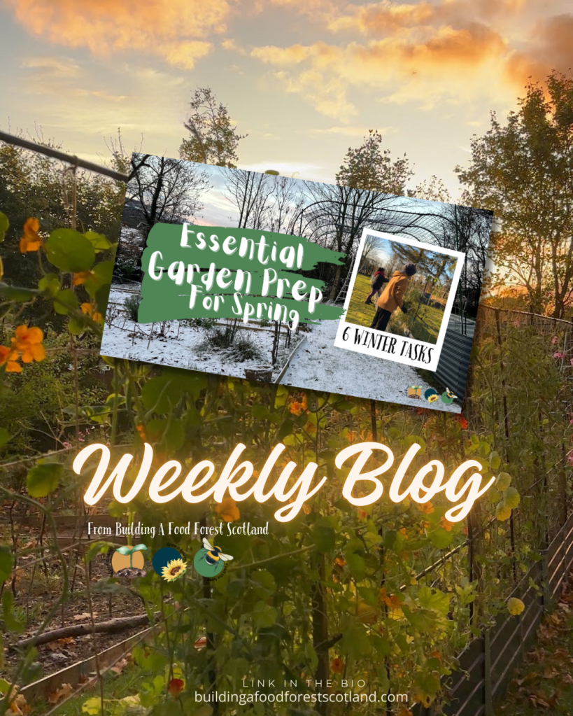 Winter Garden Prep: 6 Essential Clean Up Activities for a Thriving Spring