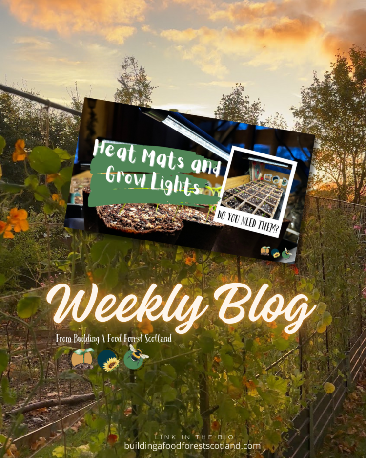 The Importance of Seed Starting with Heat Mats and Grow Lights