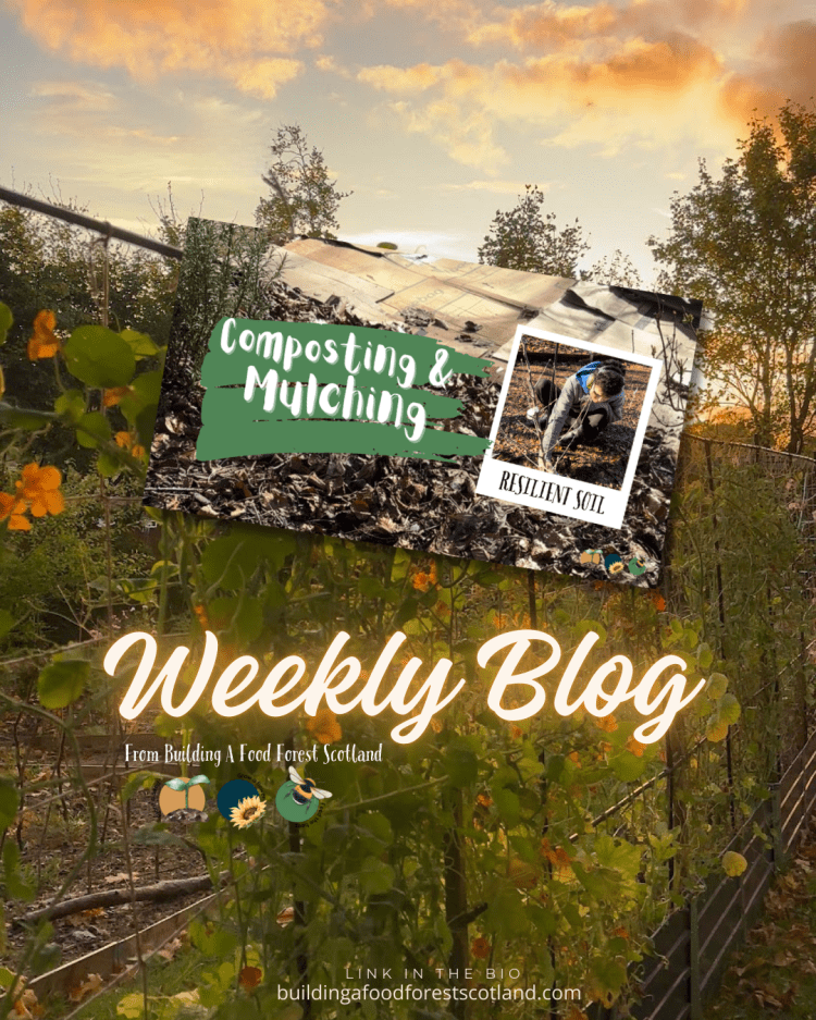 Building Resilient Soil: Composting and Mulching