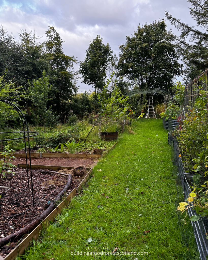 Building a Food Forest Scotland Garden 