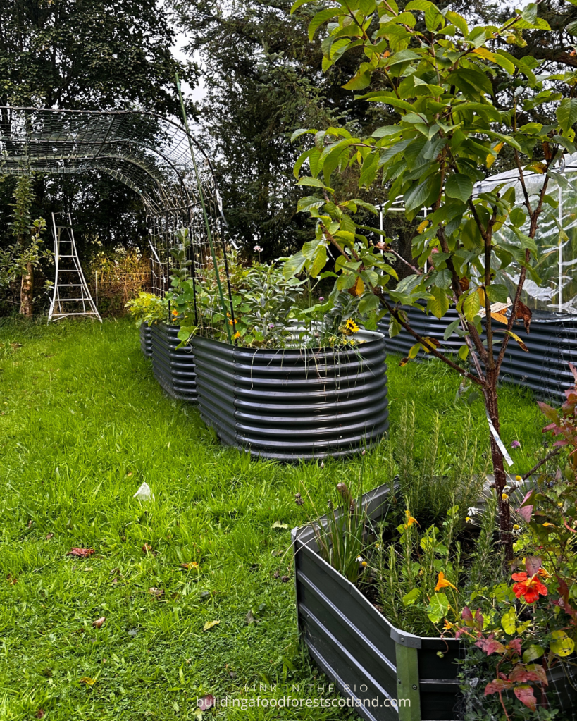 Building a Food Forest Scotland Garden 