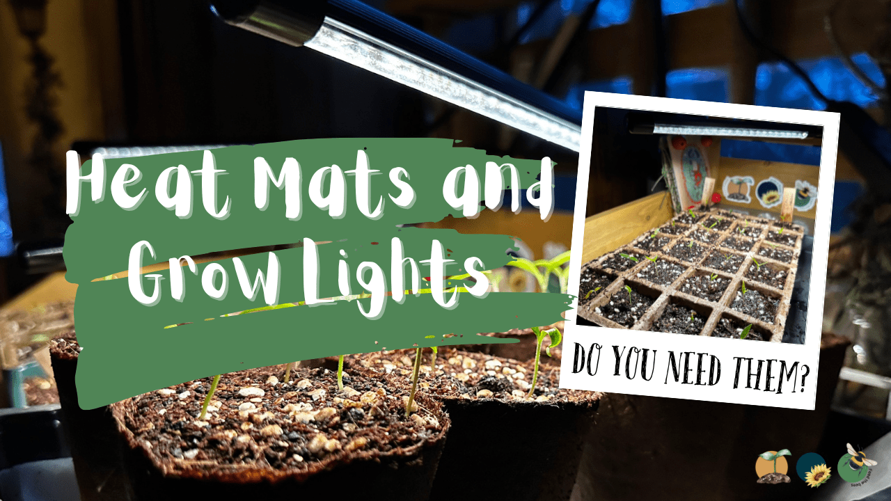 Heat Mats and Grow Lights
