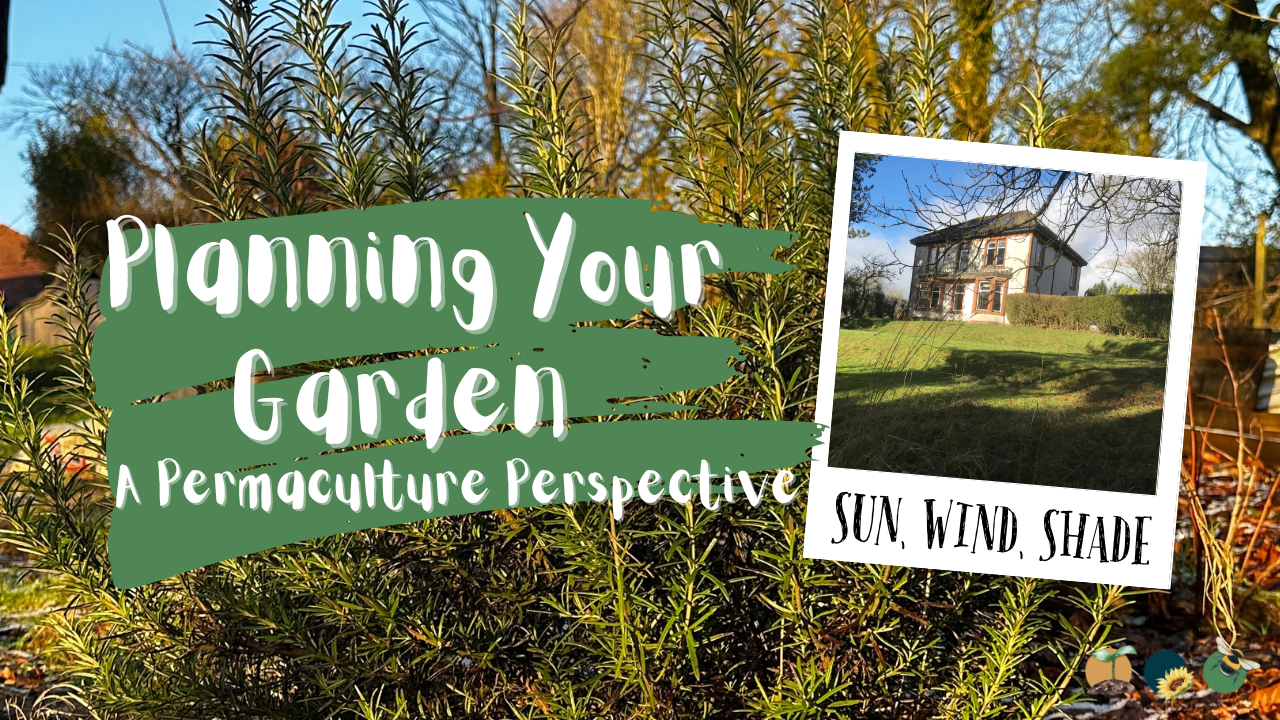 Planning Your Garden Based on Sun, Wind and Shade: A Permaculture Perspective