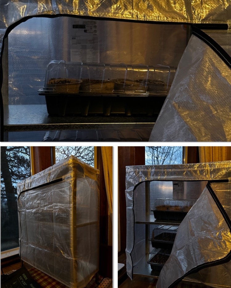 The Importance of Seed Starting with Heat Mats and Grow Lights