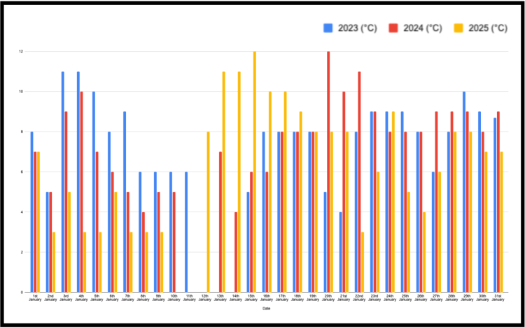 January Temp Blanket 3years -chart