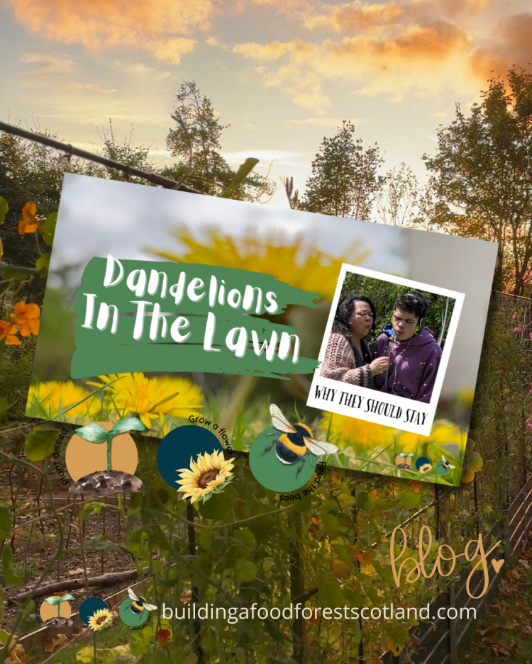 Dandelions in Your Garden: Why You Should Leave Them Be