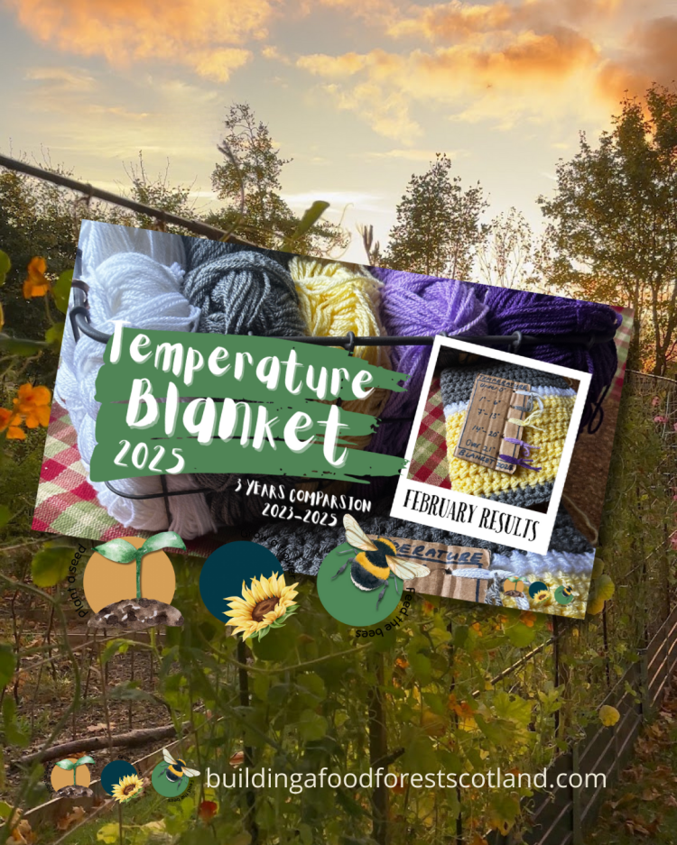 Tracking Climate with a Temperature Blanket (3 Years Comparison -February)