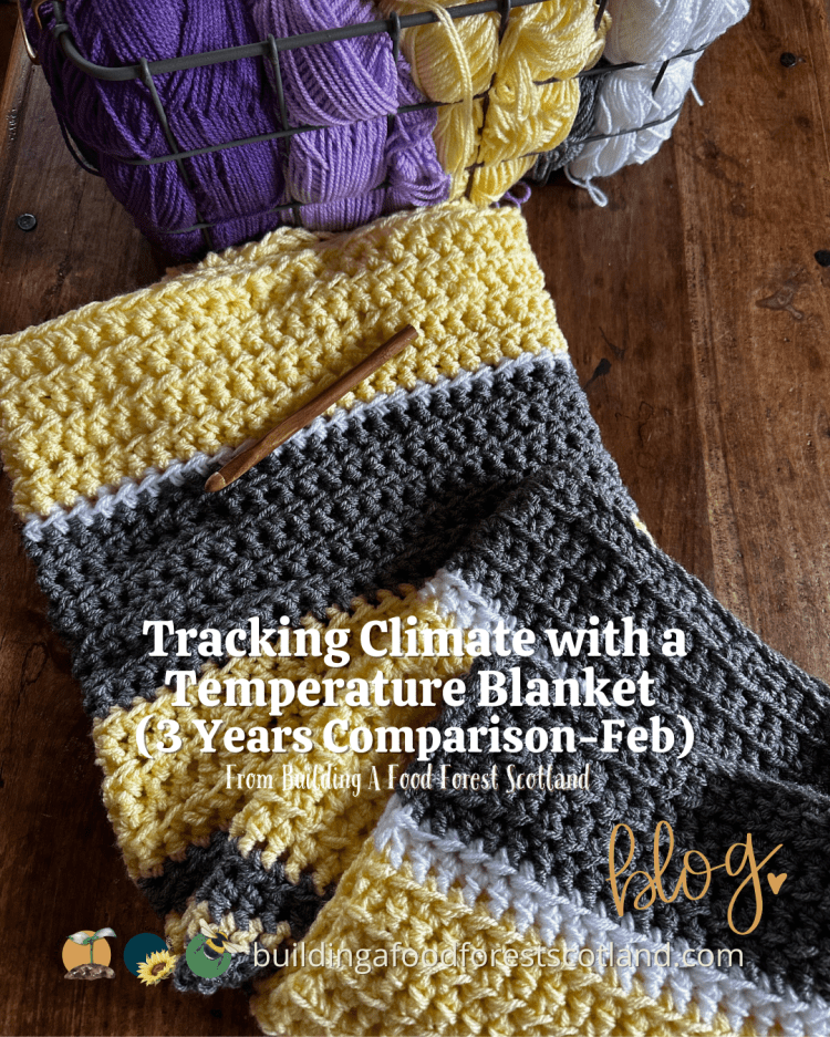 Stitching the Seasons: Tracking Climate with a Temperature Blanket (3 Years Comparison -February)