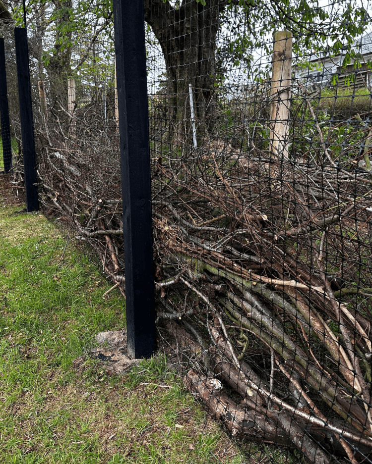 DIY: Dead Hedge- Wildlife Haven, Wind Barrier, and Permaculture Powerhouse