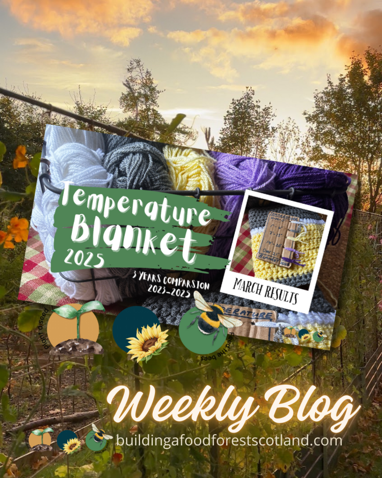 Tracking Climate with a Temperature Blanket (3 Years Comparison -March)