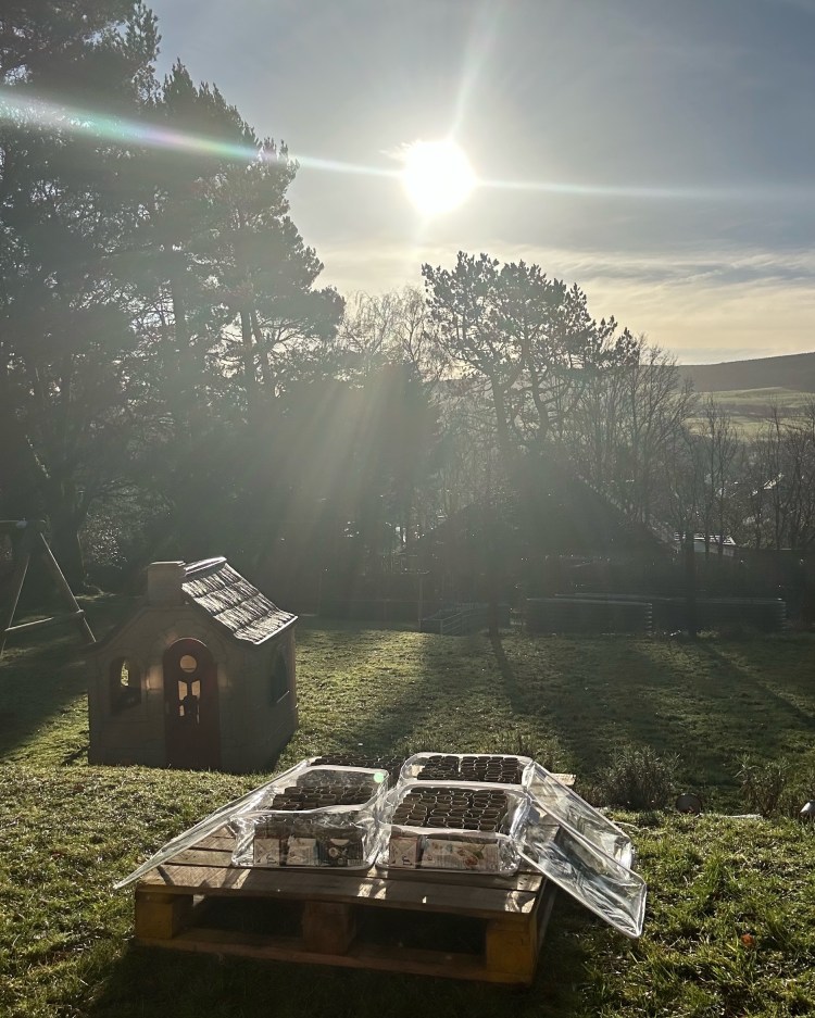 Why It’s Essential to Harden Off Your Plants Before Planting Out