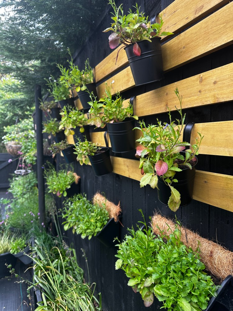 Small Space Gardening: Create a Kitchen Courtyard with Herbs and Salad Greens