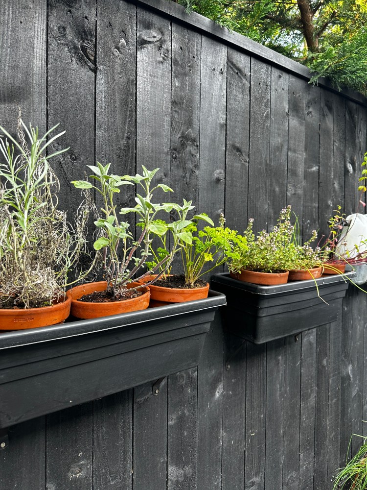 Small Space Gardening: Create a Kitchen Courtyard with Herbs and Salad Greens