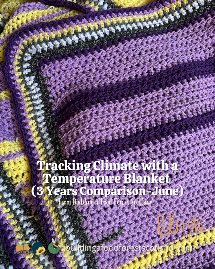 Stitching the Seasons: Tracking Climate with a Temperature Blanket (3 Years Comparison -June)