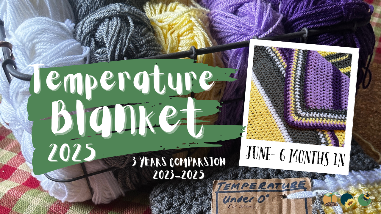 Stitching the Seasons: Tracking Climate with a Temperature Blanket (3 Years Comparison -June)