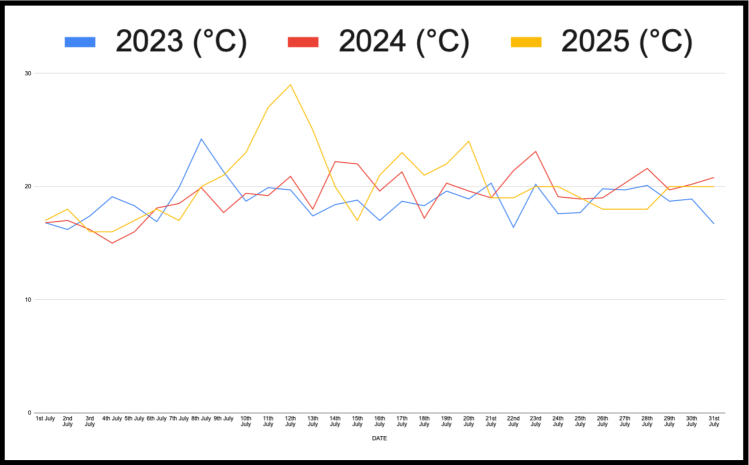Stitching the Seasons: Tracking Climate with a Temperature Blanket (3 Years Comparison -July)