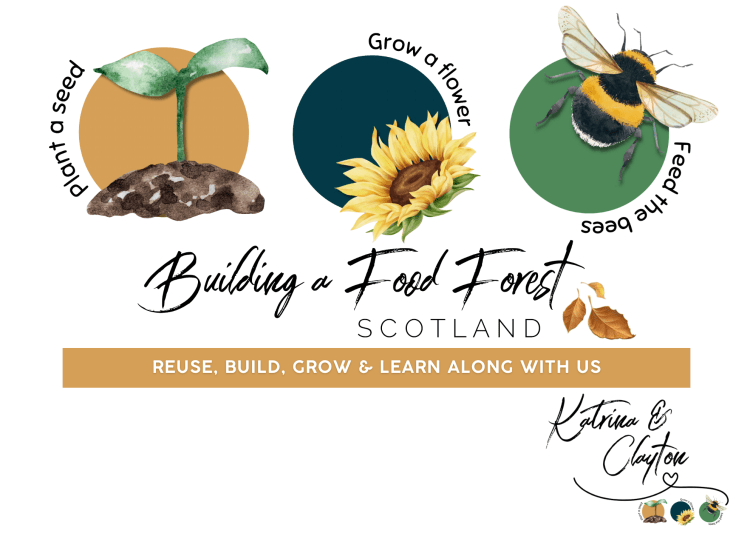 Building A Food Forest, Permaculture and Education in Scotland