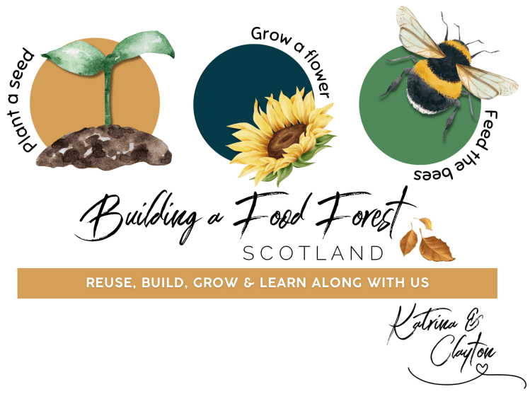 Building A Food Forest Scotland Permaculture