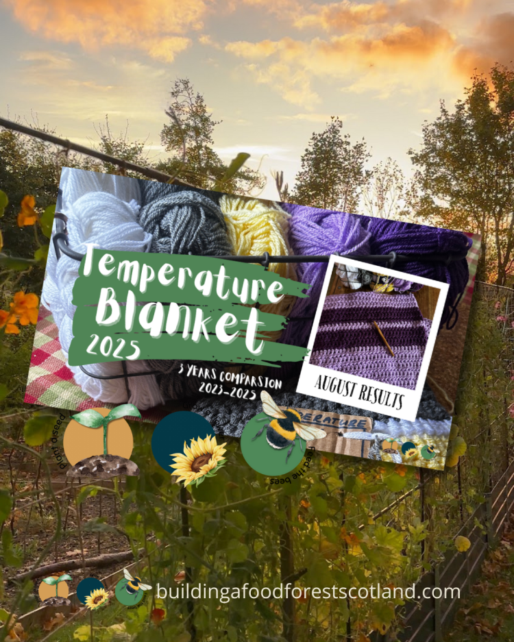 Stitching the Seasons: Tracking Climate with a Temperature Blanket (3 Years Comparison -Aug)