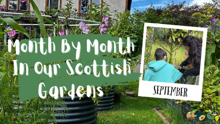 September: Month By Month In Our Scottish Gardens