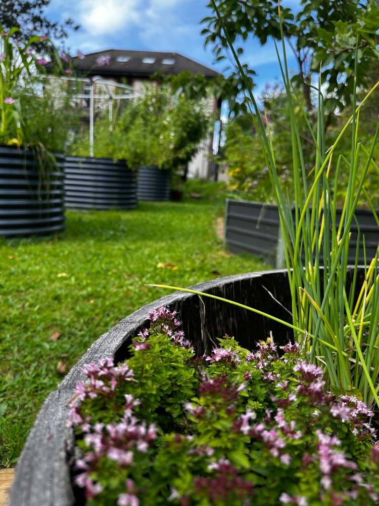 Scottish Garden, Food Forest, Raised Bed Gardening, Kitchen Courtyard