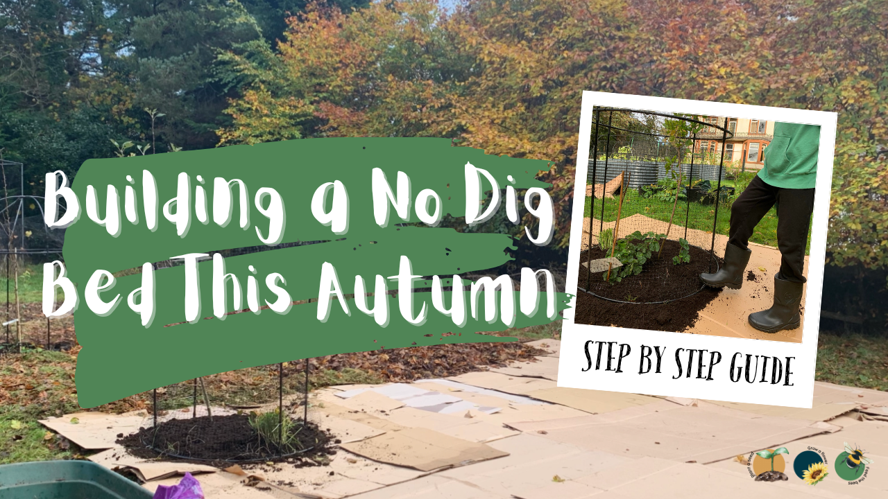 Building a No Dig Bed This Autumn: Step by Step Guide