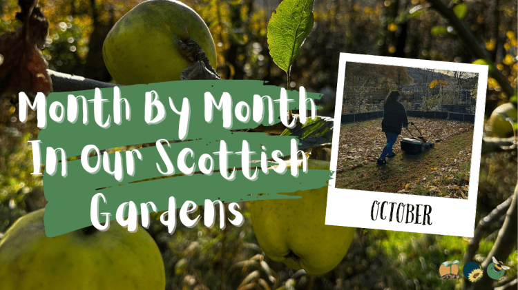 October: Month By Month In Our Scottish Gardens