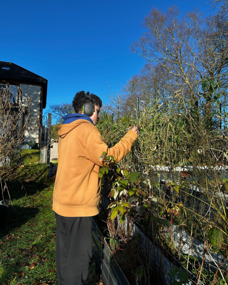 November: Month By Month In Our Scottish Gardens