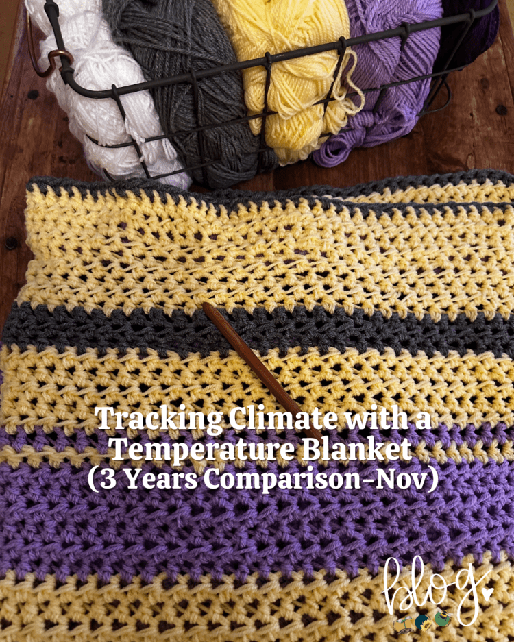 Stitching the Seasons: Tracking Climate with a Temperature Blanket (3 Years Comparison -Nov)