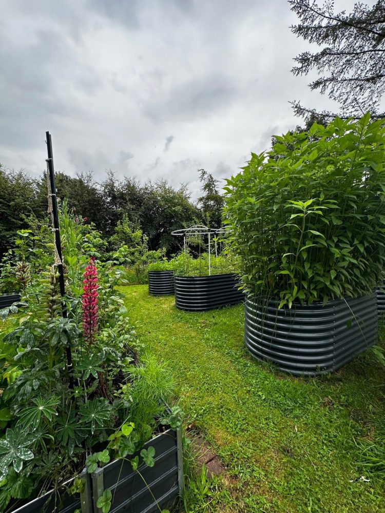 Katrina and Clayton from Building A Food Forest Scotland