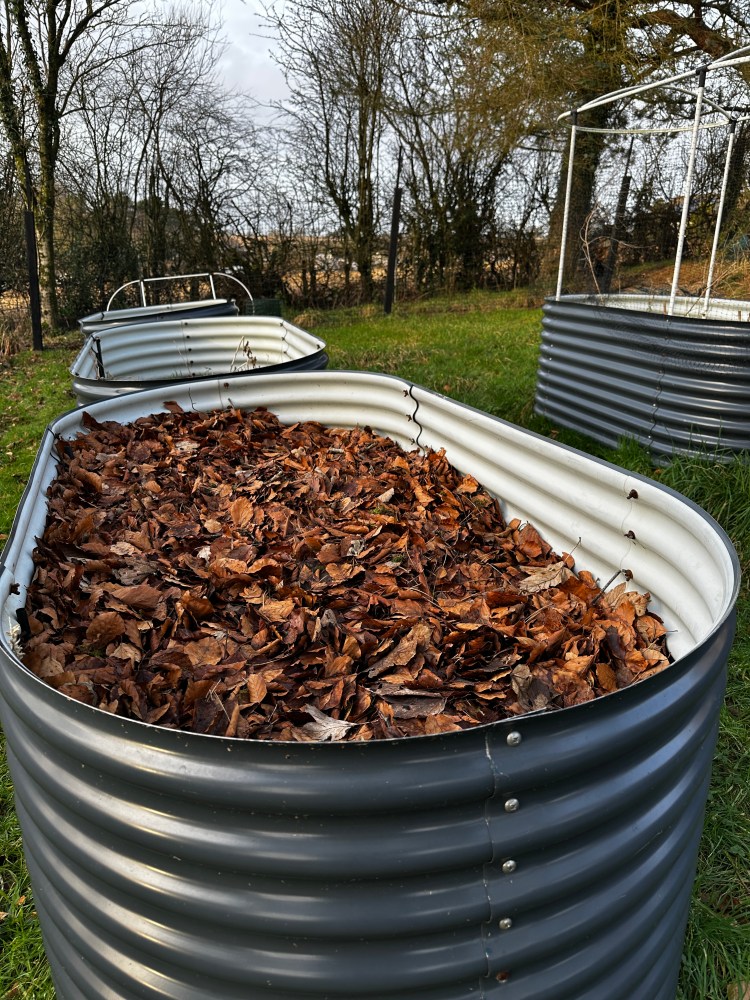 December: Month By Month In Our Scottish Gardens