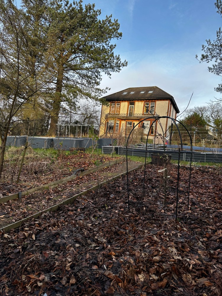 December: Month By Month In Our Scottish Gardens