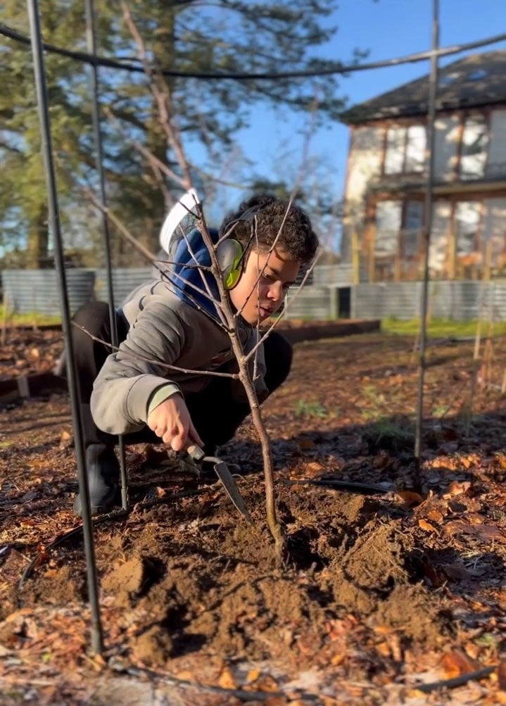 What Can I Plant in December & January In Scotland?