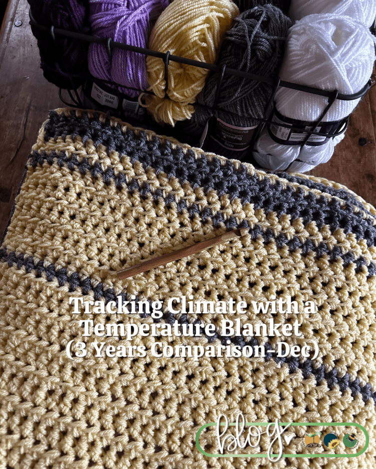 Stitching the Seasons: Tracking Climate with a Temperature Blanket (3 Years Comparison -Dec)
