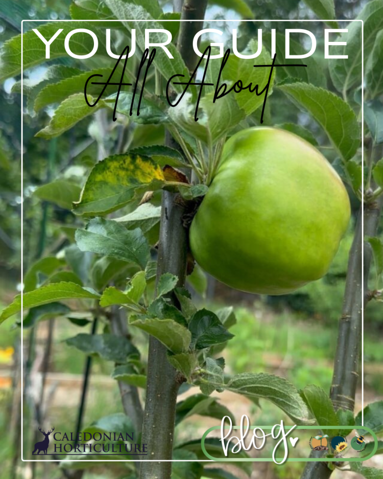 Guides to the Fruits, Herbs & Edible Flowers We Grow: Cultivation, Care & Harvesting Apple Trees