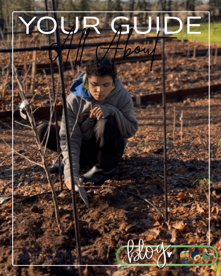 Guides to the Fruits, Herbs & Edible Flowers We Grow: Cultivation, Care & Harvesting Apple Trees