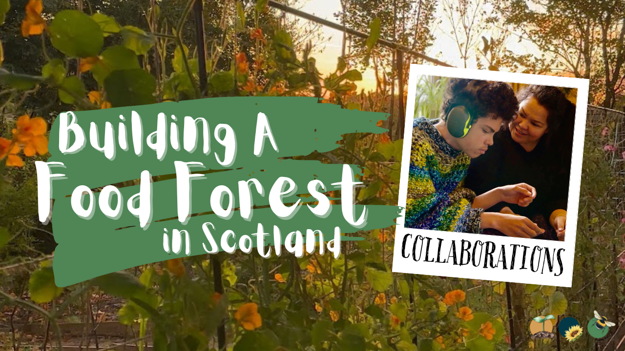 Collaborations: TV, Magazines, Podcasts, Social Media Reels & Posts