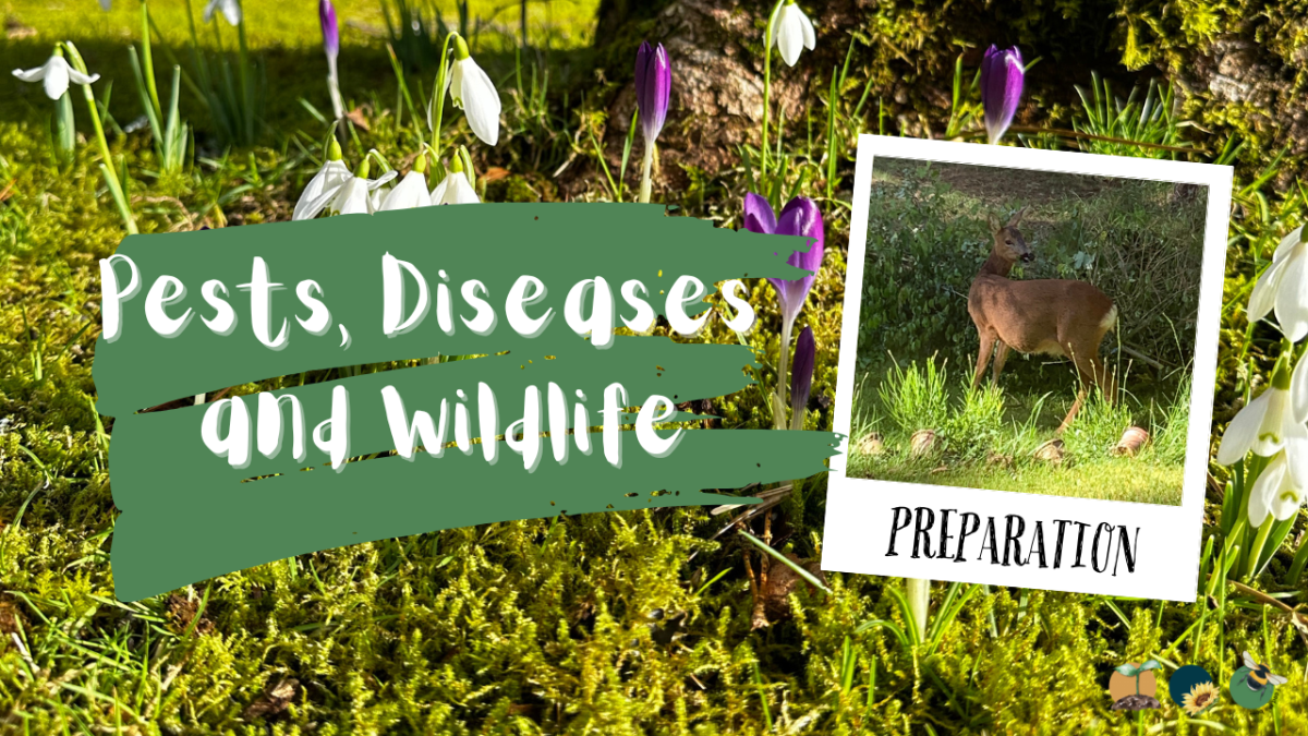 As Spring Awakens: Preparing for Pests, Dormant Diseases and Wildlife in the&nbsp;Garden