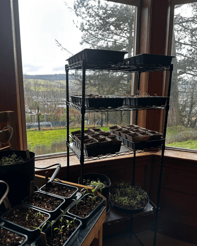 February: Month By Month In Our Scottish Gardens