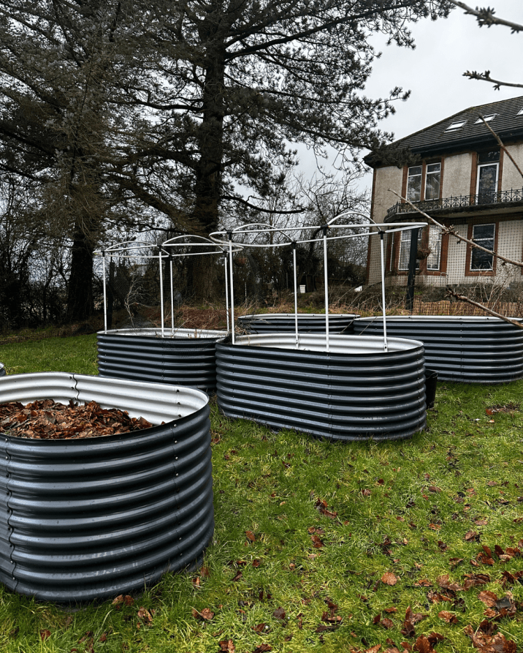 February: Month By Month In Our Scottish Gardens