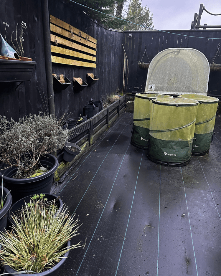 February: Month By Month In Our Scottish Gardens