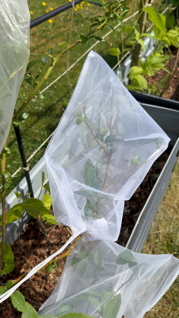 As Spring Awakens: Preparing for Pests, Dormant Diseases and Wildlife in the Garden