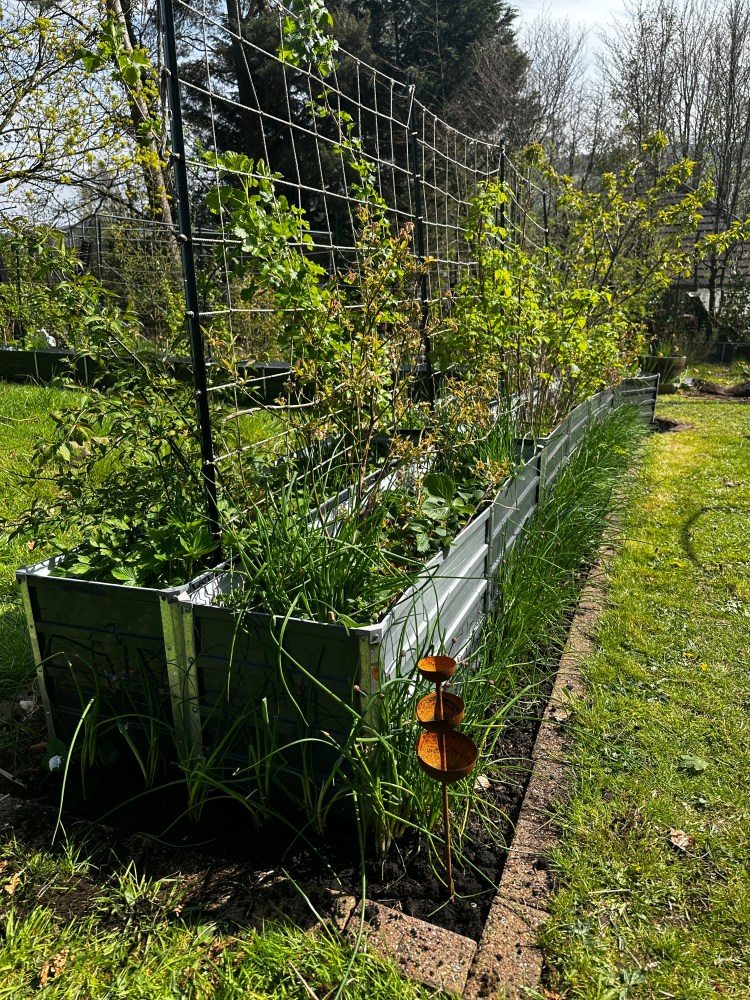 April: Month By Month In Our Scottish Gardens