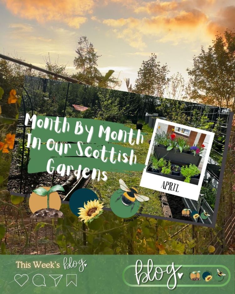 April: Month By Month In Our Scottish Gardens