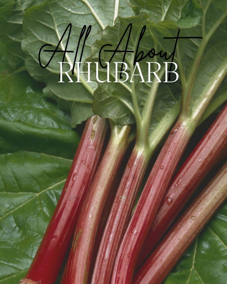 All About Series: Growing, Sowing, Caring For Rhubarb
