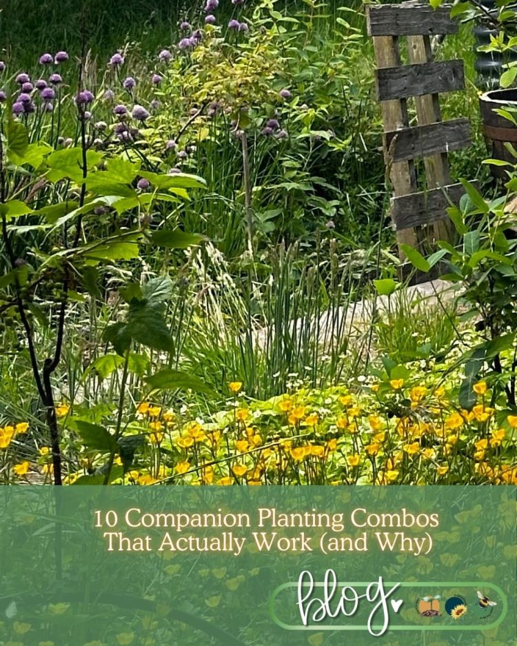 10 Companion Planting Combos That Actually Work (and Why)