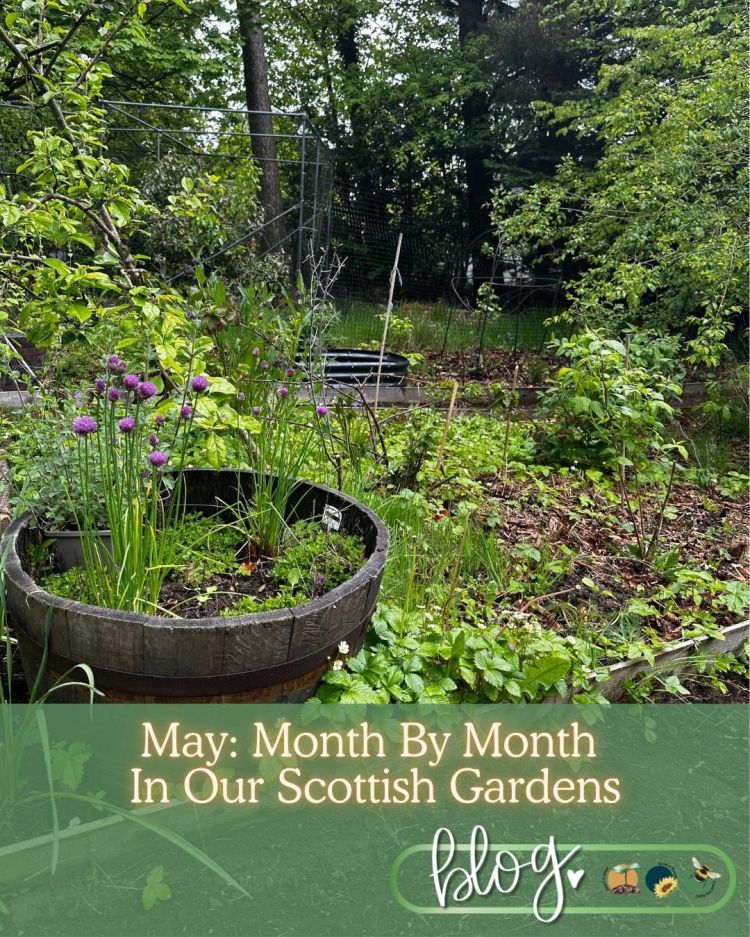 May: Month By Month In Our Scottish Gardens