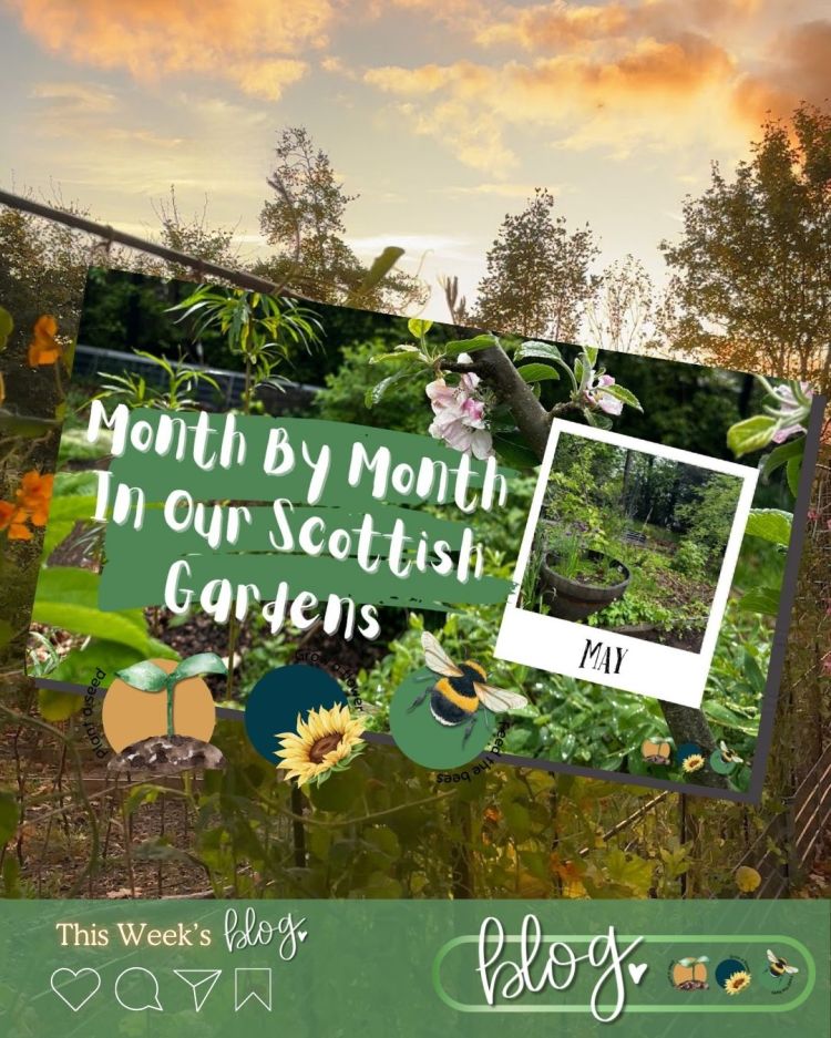 May: Month By Month In Our Scottish Gardens